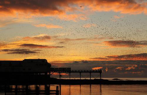 Pier View Sea View Apartment Aberystwyth Promenade - Foto 25
