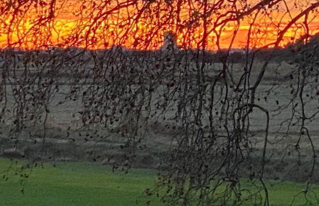 Beautiful Holiday Home with Hot Tub, Sauna & Monumental Fireplace - Photo 32