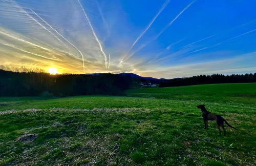 Gemütliches Alpenblick BERG-Bungalow + großer GARTEN + NETFLIX! - Foto 17