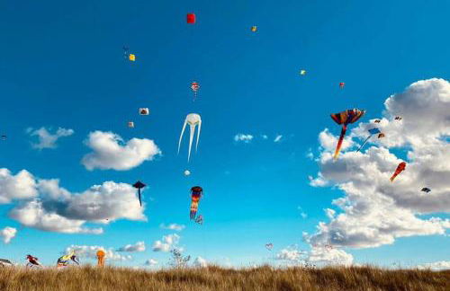 Ferienwohnung Hafenblick - Photo 15