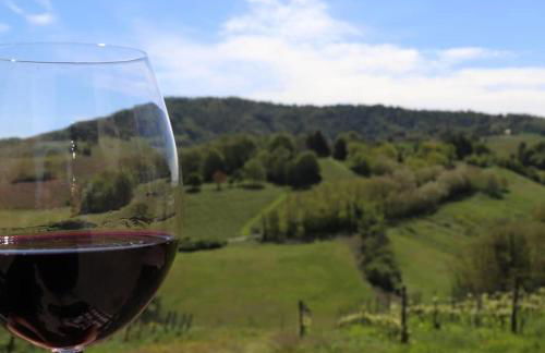 Cascina Angelina - Photo 16