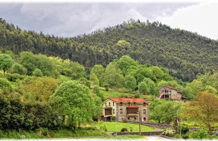 Finca Artienza - Foto 50