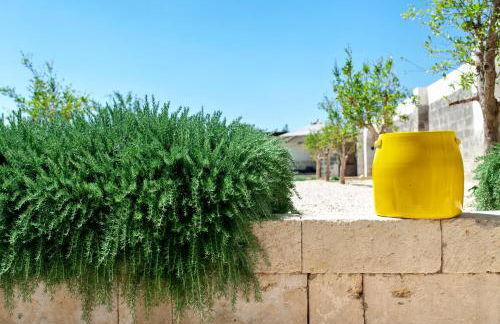 Masseria Pezza - Foto 7