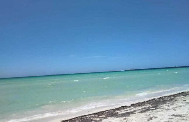 Entire House on the Seashore in Chicxulub Puerto, Yuc, Riviera Yucateca Mex - Foto 27