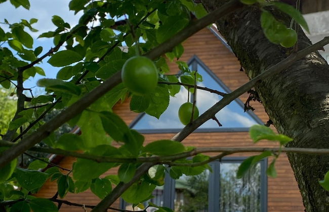 Maşukiye Pink House Bungalow - Foto 41