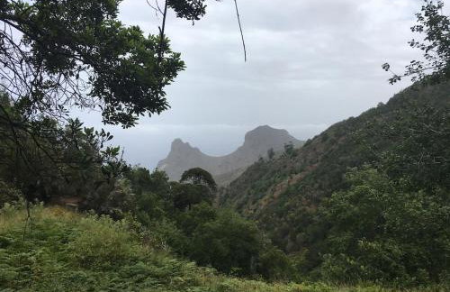 Penthouse Lomo Alto - Foto 45