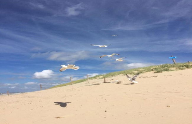 Beachside Escape w/ Terrace - Foto 22