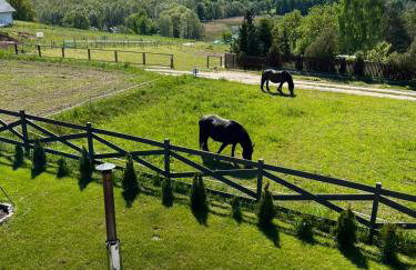 Przystanek Patulskie - Foto 20