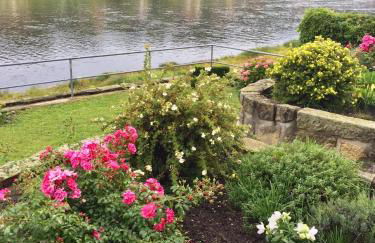 Kleines Ferienappartement 3 im Schmöllerhäuschen - Foto 16