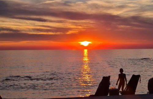 Val di Sole - Photo 31