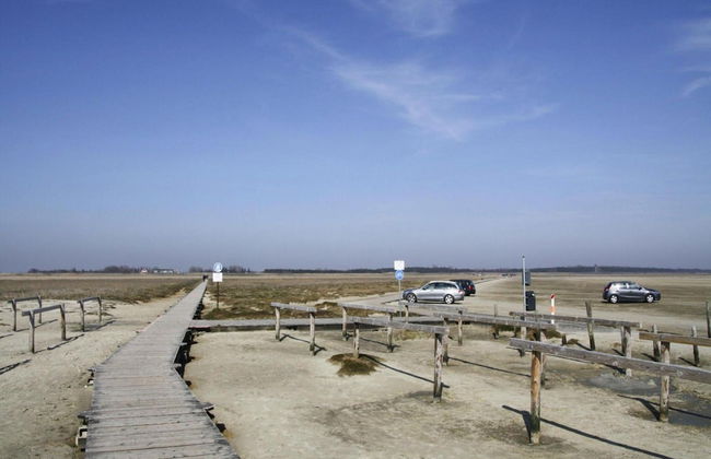 Ferienwohnung, St. Peter - Ording - Foto 17