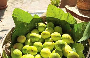 Il Bosco del Lebbio - Foto 33