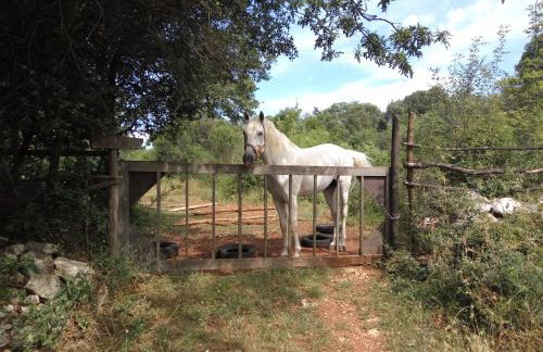Apartment Asparagus - Photo 38