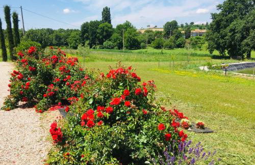 Incanto del Garda - Foto 22