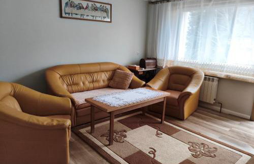 Apartament Przy Puszczy Białowieskiej - Photo 1