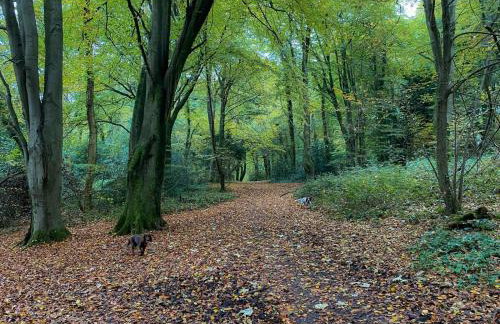 2 Bed in Weston-super-mare oc-94385 - Foto 25