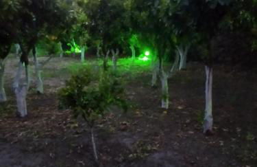 Περιβόλι του Οδυσσέα - Photo 42