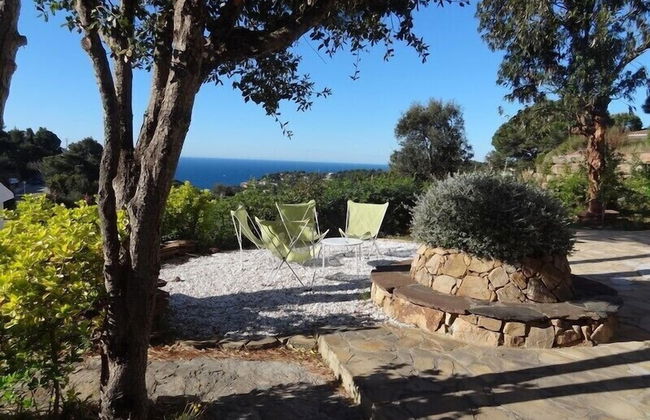 Danlux Palmera - Foto 14