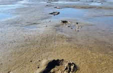 Ferienwohnung Sonja - Foto 41