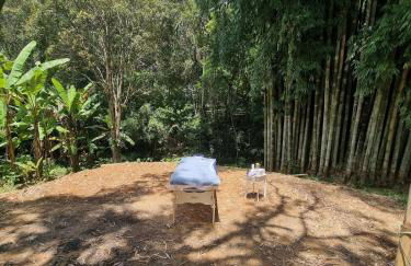 Refúgio Mata Atlântica, Riacho, Piscina, Natureza - Foto 60