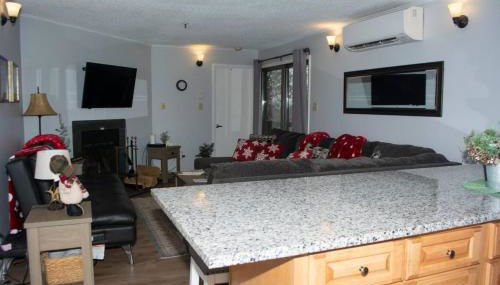 Winterplace Condos - Ski In Ski Out! E101 - Foto 4