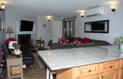 Winterplace Condos - Ski In Ski Out! E101 - Foto 4