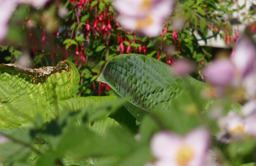 Holiday Home Buschle by Interhome - Foto 16