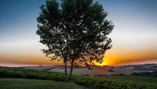 La Vita Nuova Appartements - Appart B&B - Foto 3