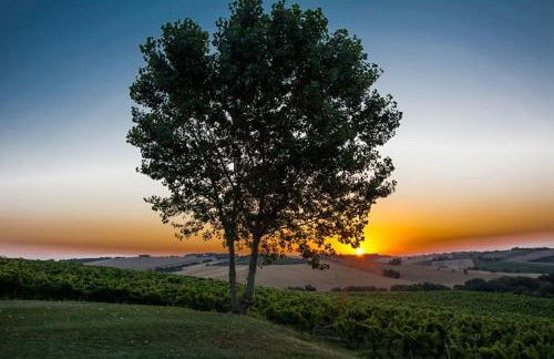 La Vita Nuova Appartements - Appart B&B - Foto 3