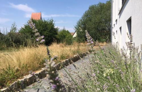 Ruheoase im Kirschblütental - Foto 17