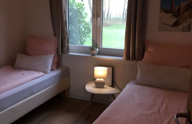 Deichschätzchen - Foto 6