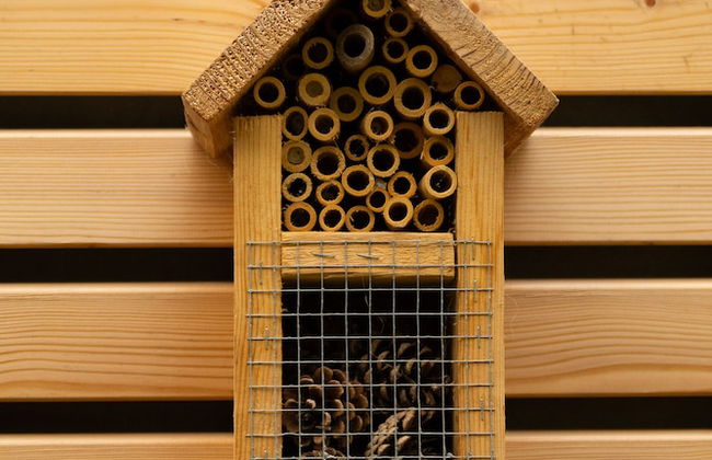 Les Cabanes de Warincthun - Foto 39