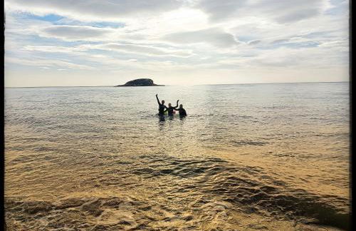 Altea Flying Whale - Photo 20