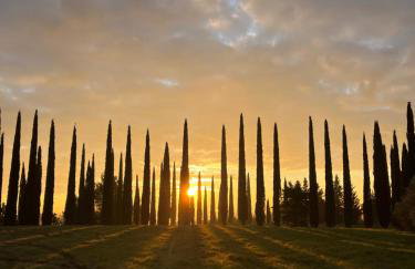 LA COLLINA DEI SAPORI Montepulciano - Photo 34