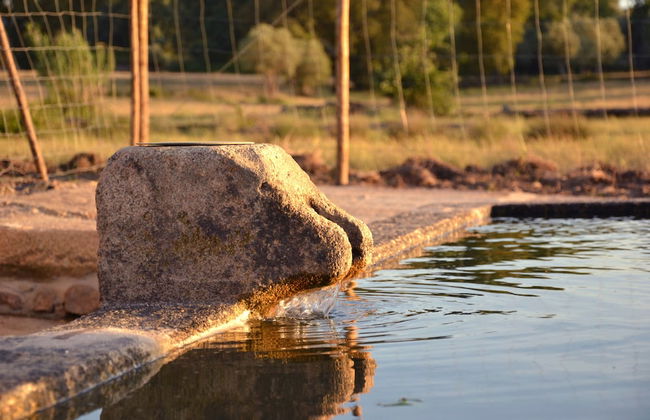 Quinta dos Carvalhos - Foto 24