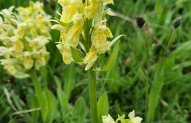 Gite le petit Ely - Photo 31