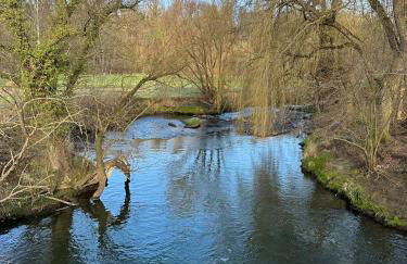 Apartment nahe Naturschutzgebiet „Wurmtal“ - Foto 40