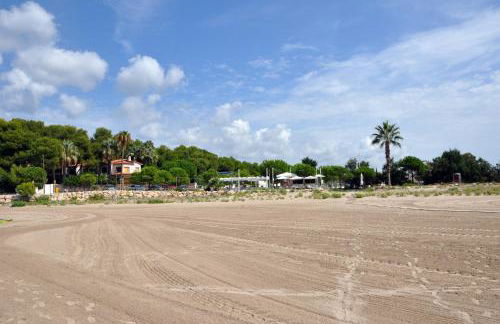 Tenis Roda de Bara - Foto 42