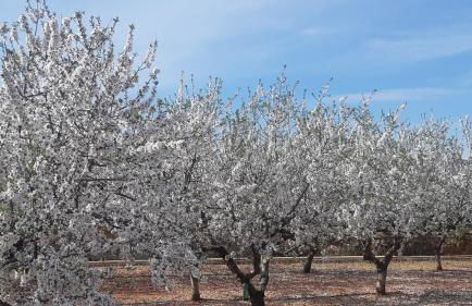 Ferienwohnung mit Privat-Pool - Foto 24