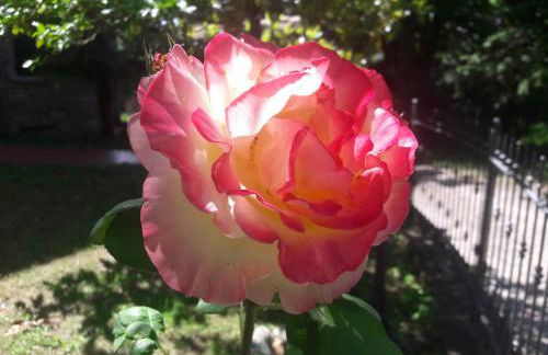 Fine 5 bedroom Farmhouse - Photo 80