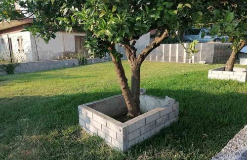 villa Narkissos - Καναλάκι - Εξοχική κατοικία - Foto 23