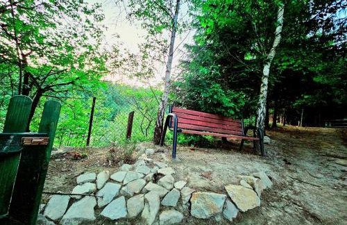 Alpakowy raj - Foto 32