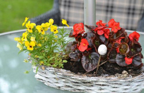 Ferienwohnung Rohwer - Foto 20