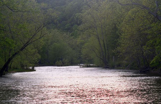 River Walk Cottage - Romantic Escape - Foto 33