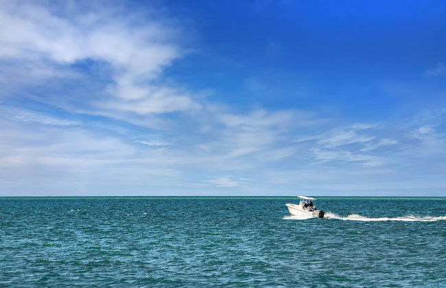 Kingston Arms Modern 1BR On Lido Key - Foto 29