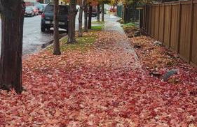 Lake Chelan View Condo in Downtown near Beach! - Foto 14