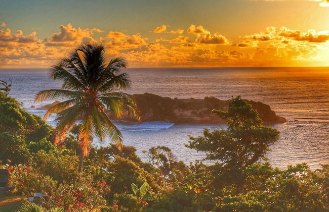 Blue Whale Villa - Photo 69