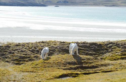 George's House - 1 Leacklee - Foto 31