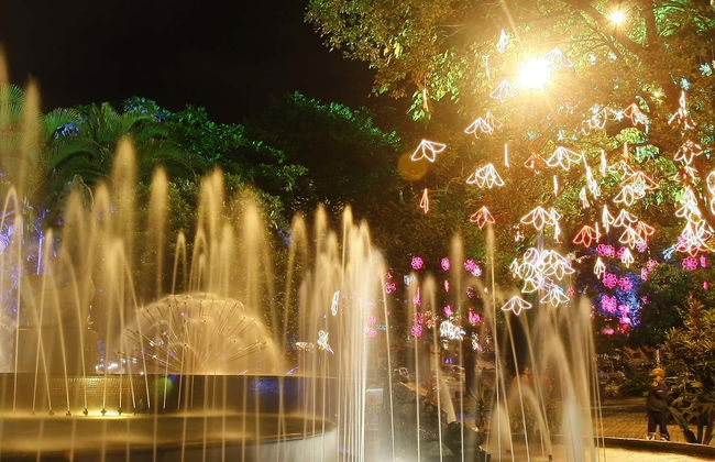 Tour serale della Medellín bohémien - Foto 1