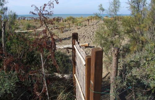 Vacanze Toscane In The Country - Villa Agrifogli - Foto 35